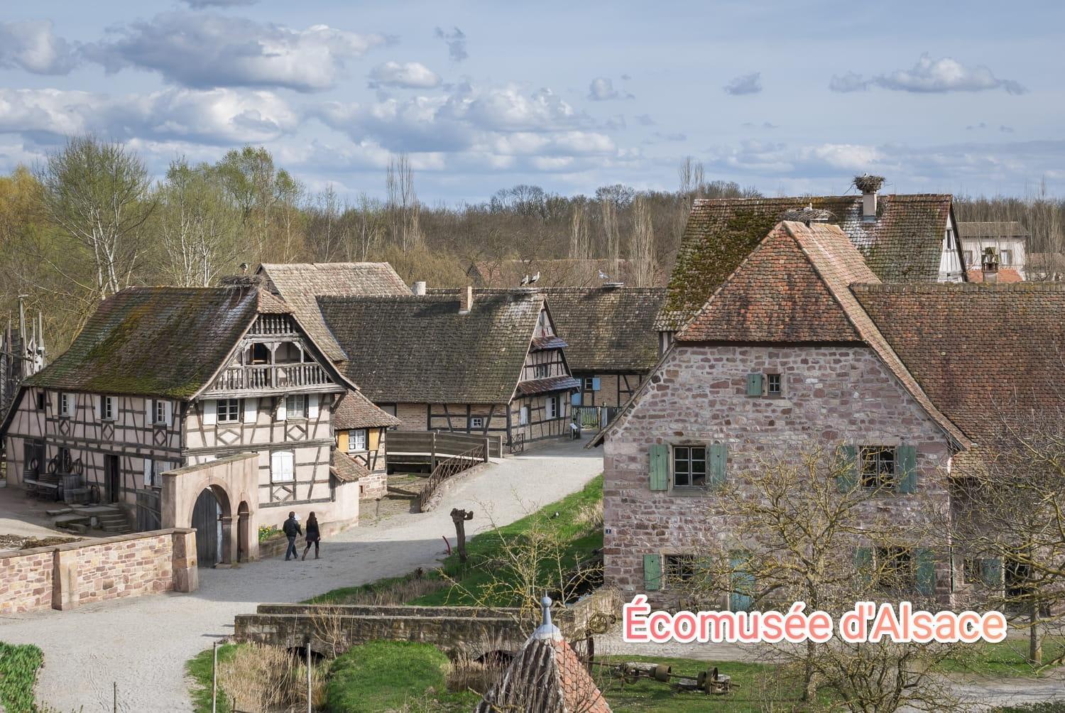Entre Ville Et Vignes - Gite Classe 3 Etoiles Ingersheim Esterno foto