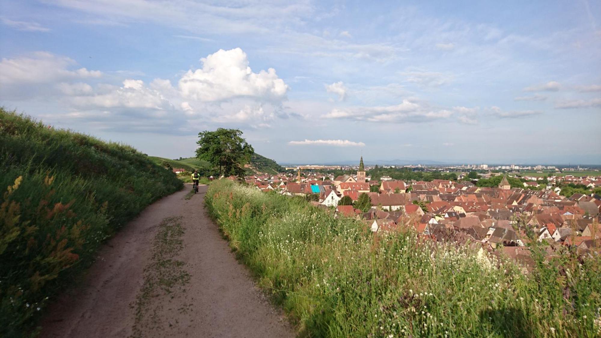 Entre Ville Et Vignes - Gite Classe 3 Etoiles Ingersheim Esterno foto