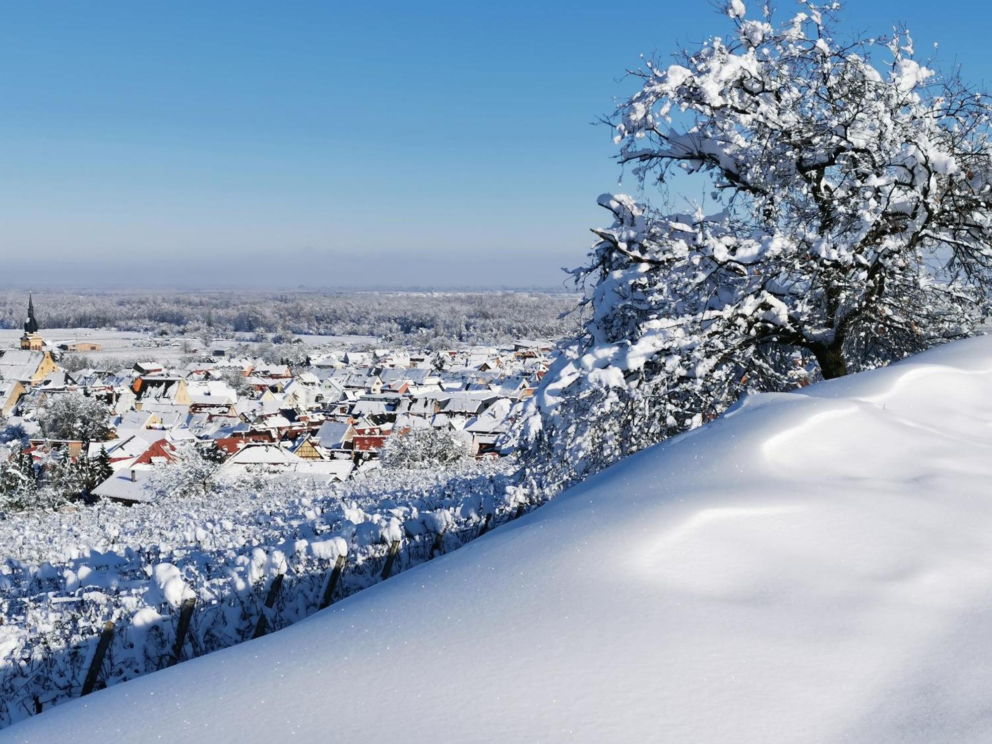 Entre Ville Et Vignes - Gite Classe 3 Etoiles Ingersheim Esterno foto